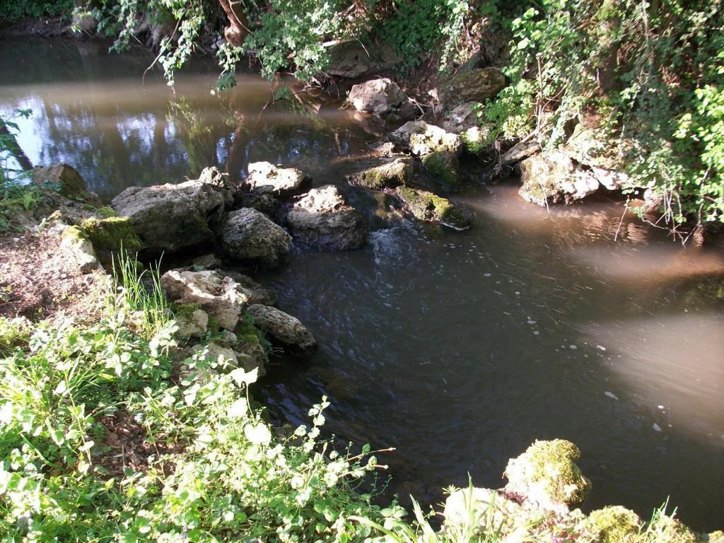 Chambre D'Hote Moulin Du Ru Aulnoy Dış mekan fotoğraf